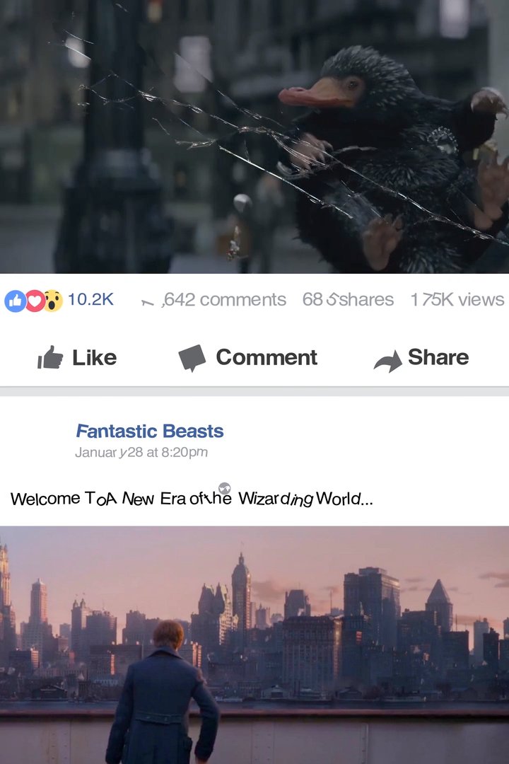 Fantastic Beasts Disruption